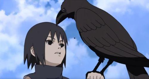 火影秋风鼬爆料视频下载,秋风鼬爆料视频揭秘,独家内容大放送! 第2张 火影秋风鼬爆料视频下载,秋风鼬爆料视频揭秘,独家内容大放送! 第2张